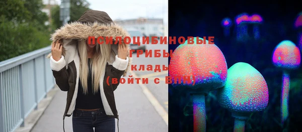 ешки Аркадак