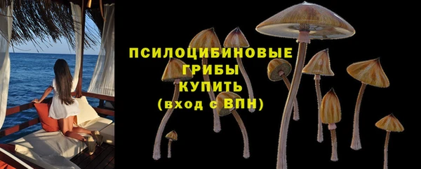 герыч Арсеньев