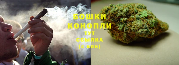 ешки Аркадак