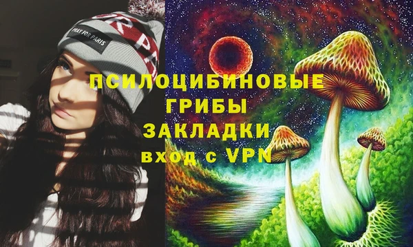 герыч Арсеньев