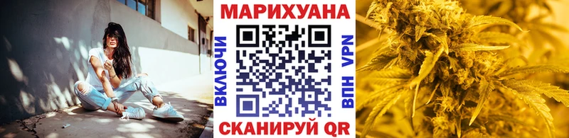 Конопля сатива  Тосно 